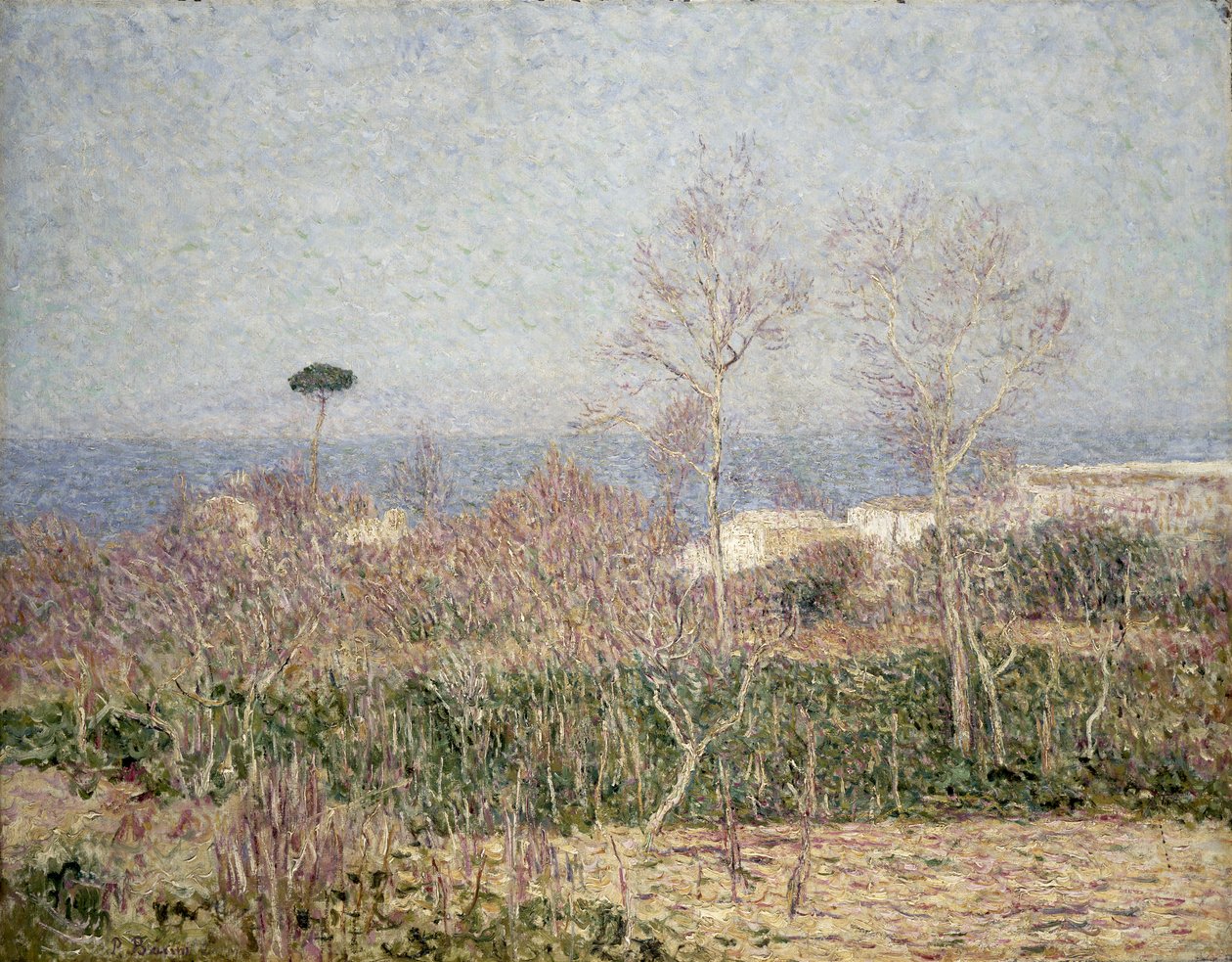 Capri