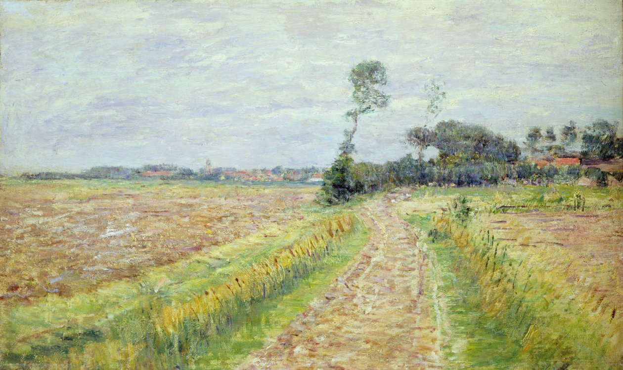 Hollanda, Hasat Edilen Tarlalarla Peyzaj, 1890 by Paul Baum