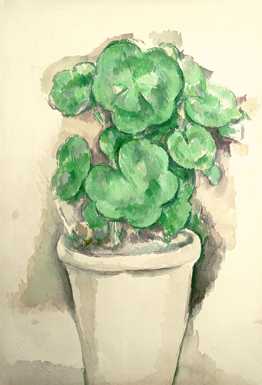 Sardunyalar Potu, c.1885 (kağıt üzerinde kalem ve wc) by Paul Cézanne