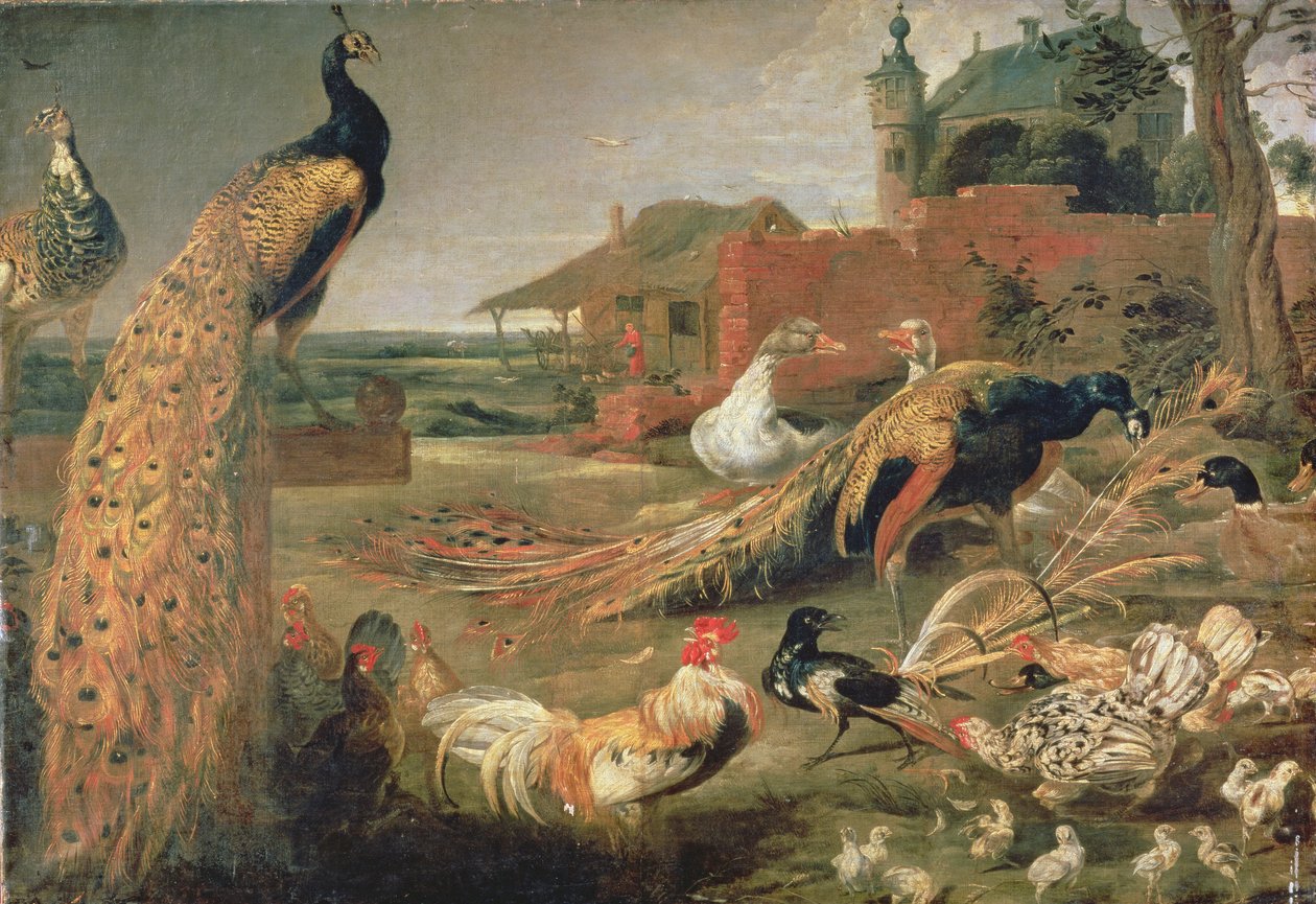 Tavus Kuşunun Tüylerinde Bir Karga by Paul De Vos