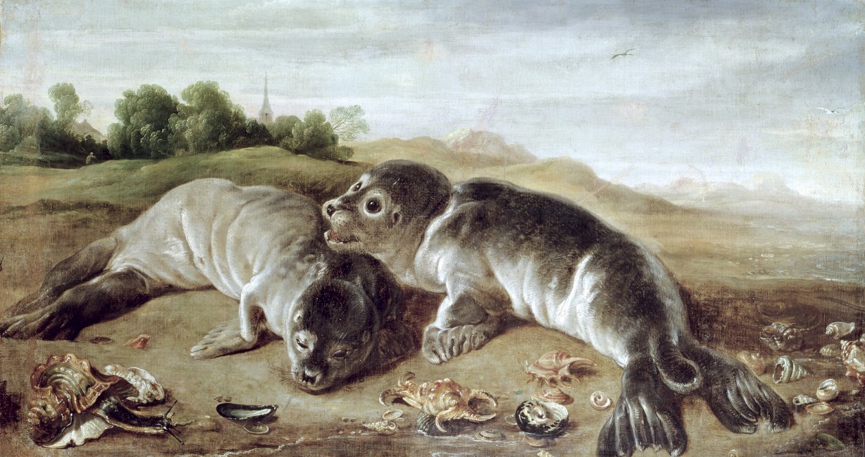 Kıyıdaki İki Genç Fok, c.1650 by Paul De Vos
