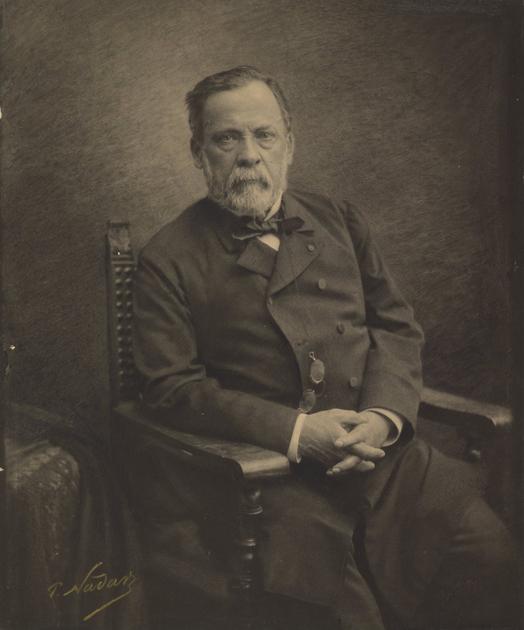 (Louis Pasteur) by Paul Nadar