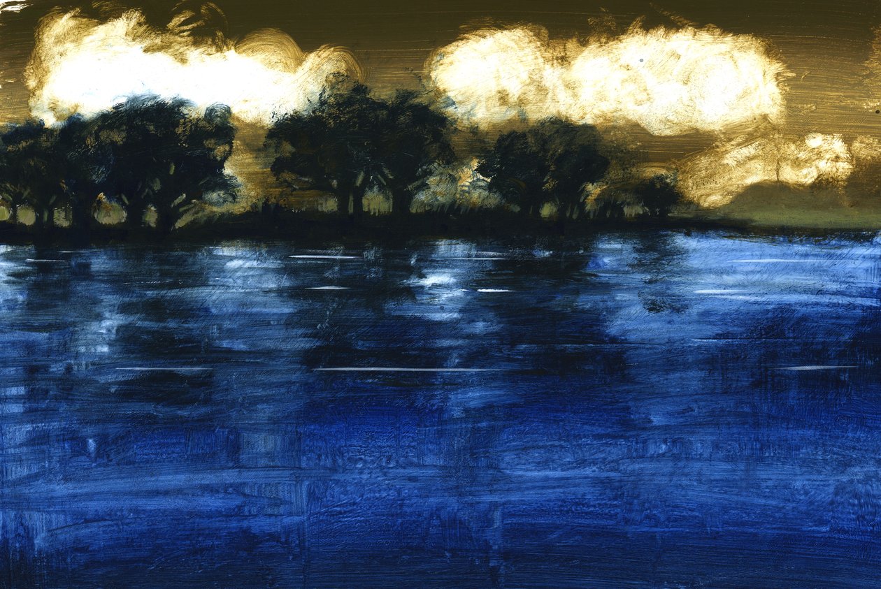 Flood, 2009 (gemide akrilik) by Paul Powis