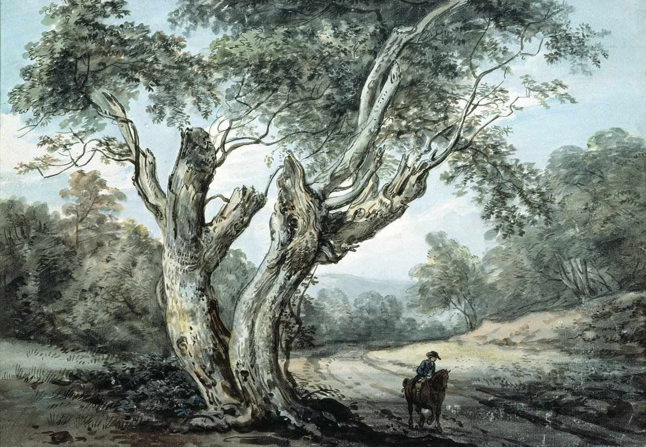 Windsor Ormanından Geçen Bir Yol (suluboya) by Paul Sandby