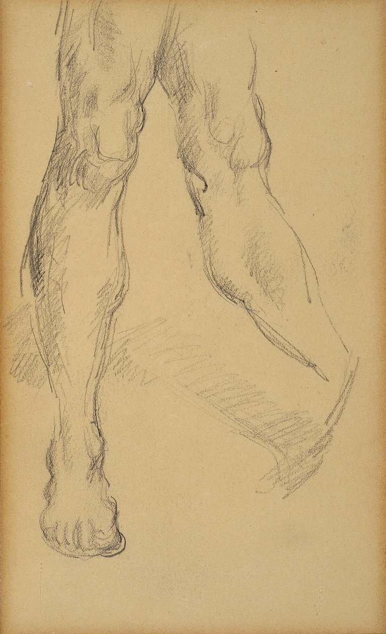 Bacak çalışması. Paul Cezanne