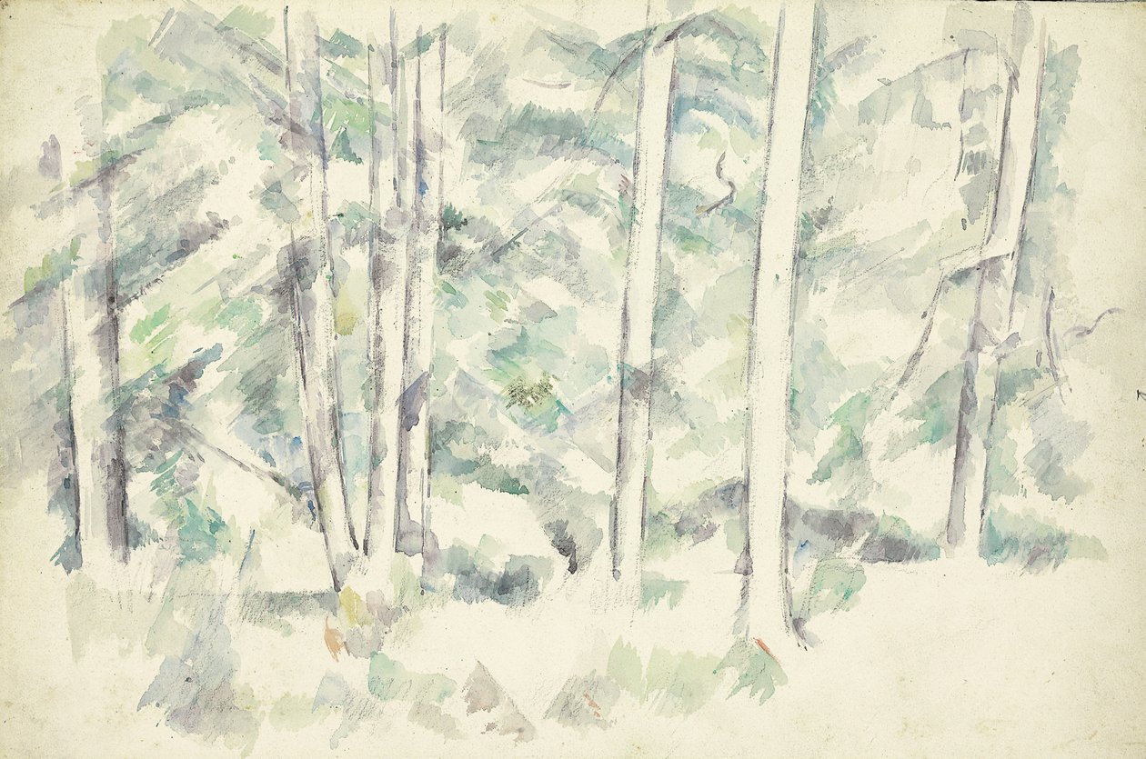 Orman, c.1890 by Paul Cézanne