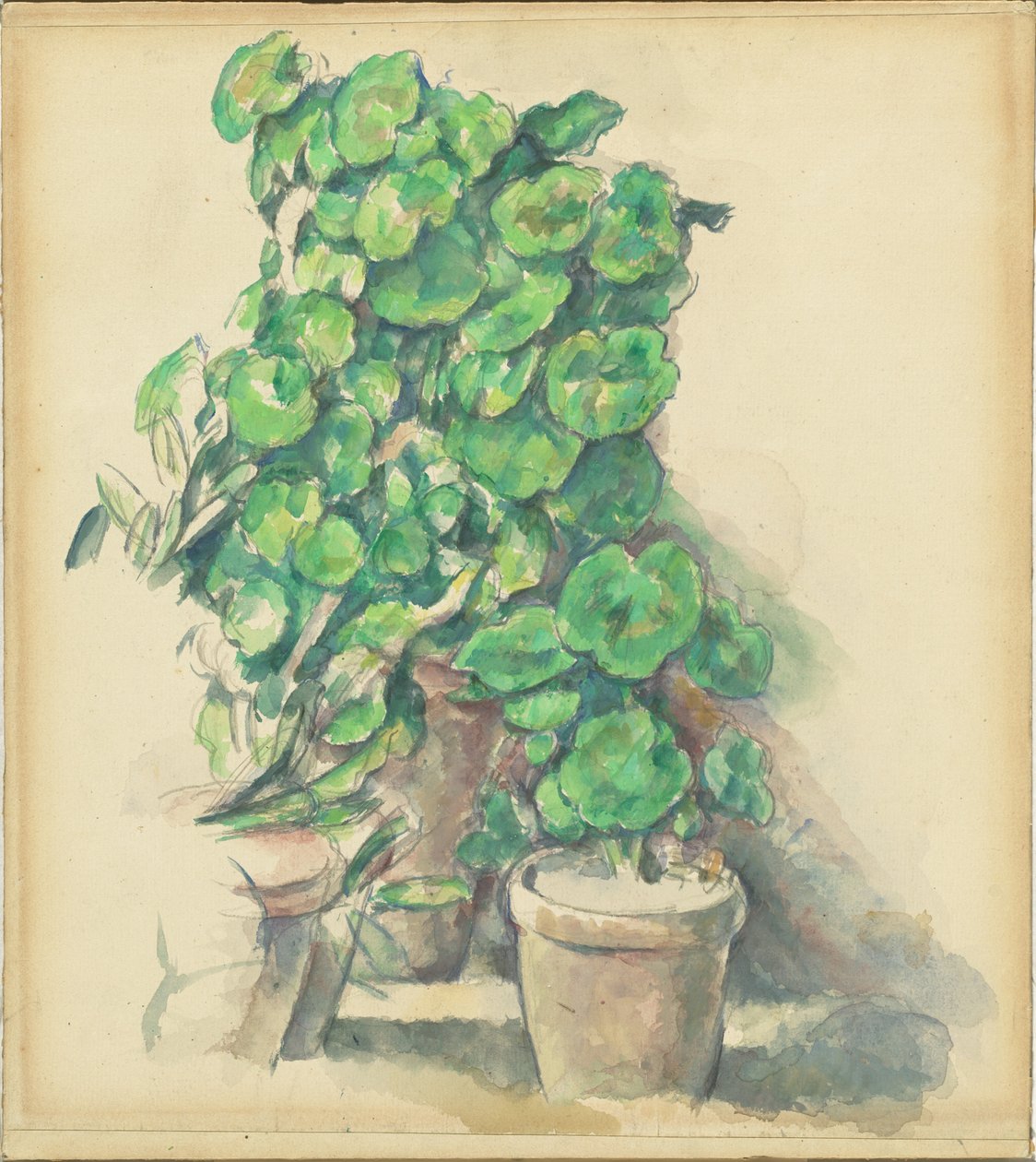 sardunyalar by Paul Cézanne