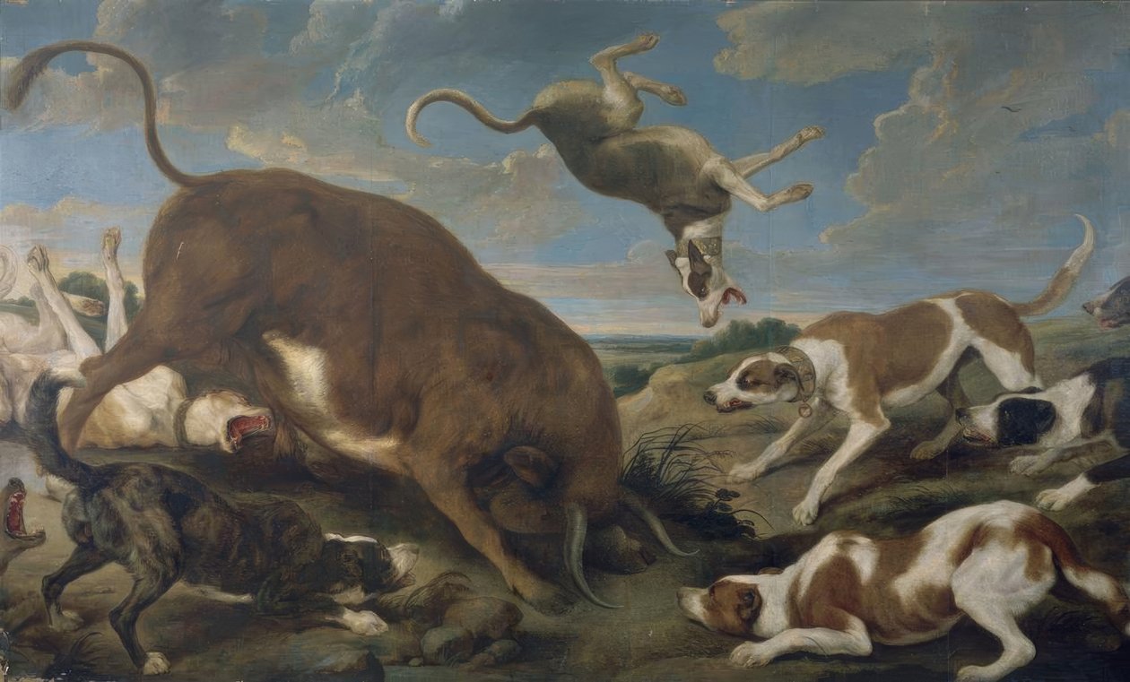 KÖPEKLERİN SALDIRISI BOĞA - 17. YÜZYIL - TUVAL 210 × 346 cm - BAROK FLAMENKO by Paul De Vos