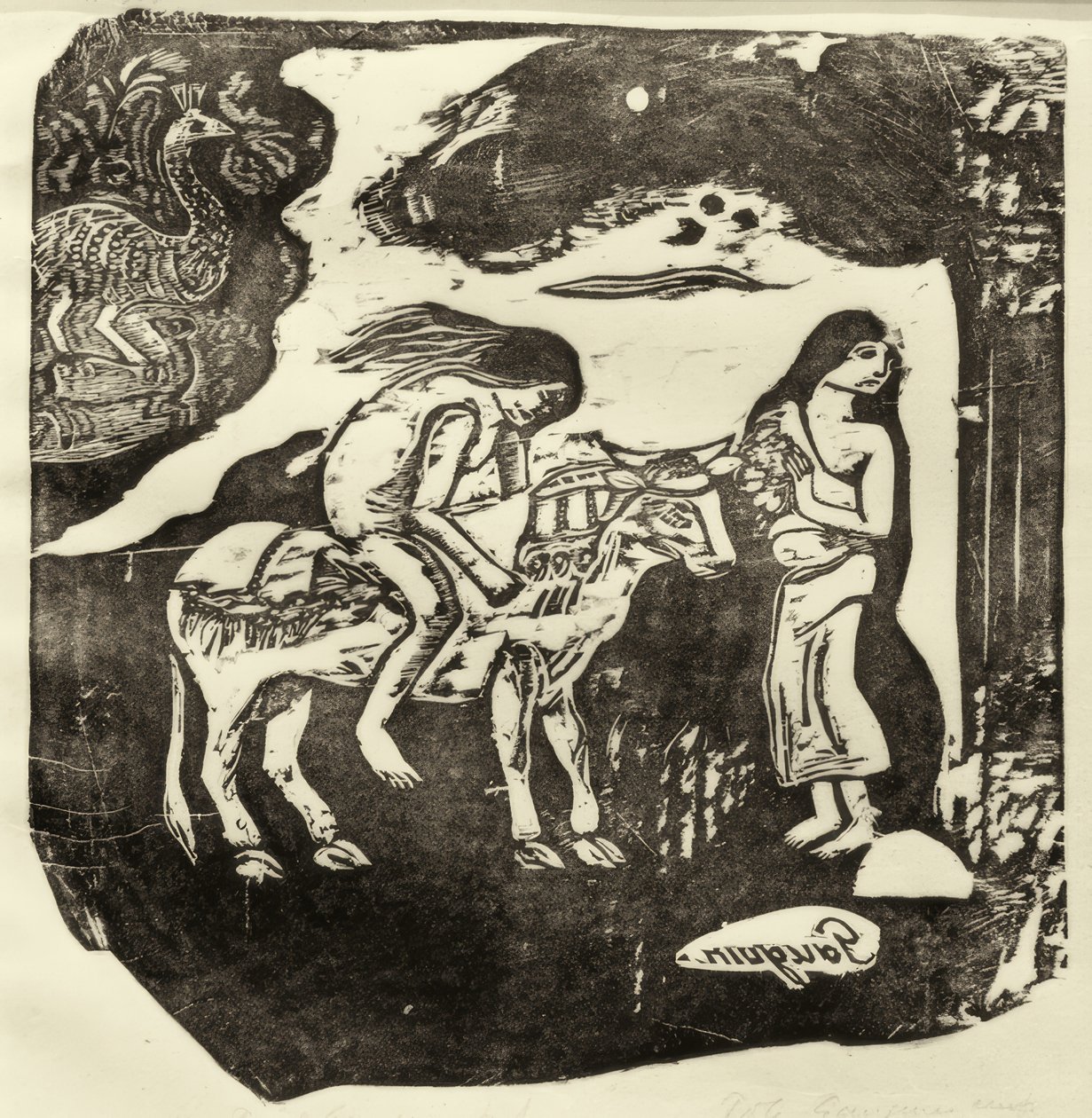 Avrupa