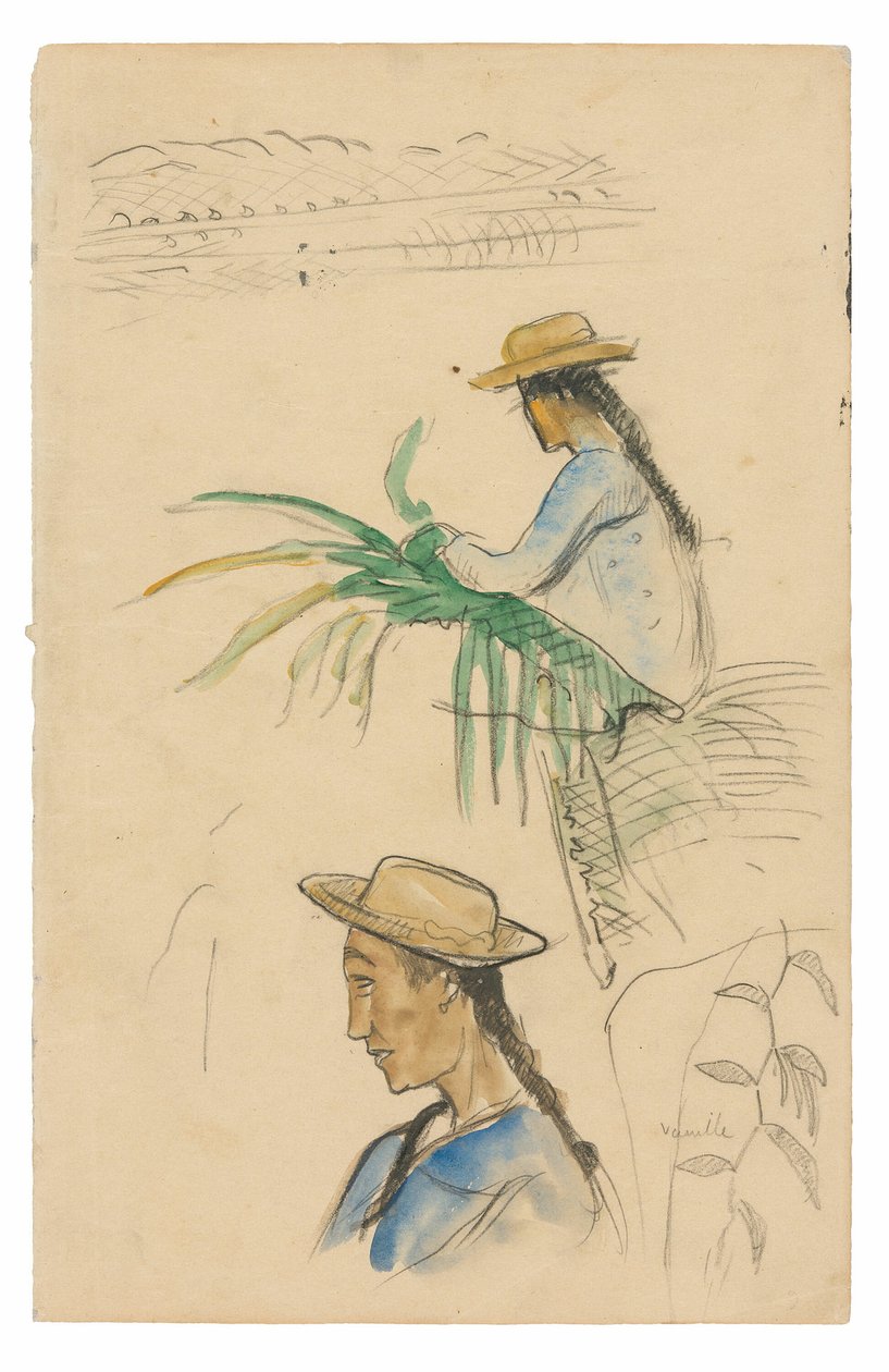 Figür Çizimleri, Pandanus Yaprağı ve Vanilya Bitkisi by Paul Gauguin