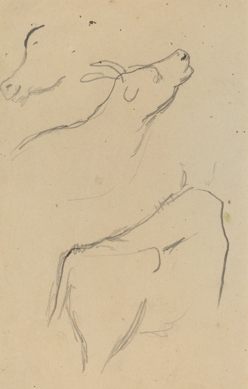 Bir İnek Çalışmaları [verso] by Paul Gauguin