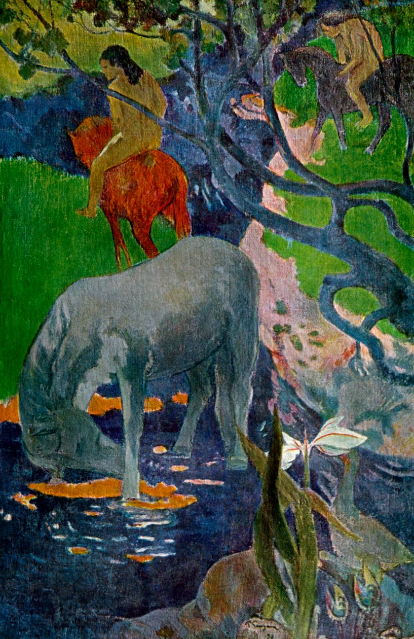 Beyaz At, 1898 1939. by Paul Gauguin