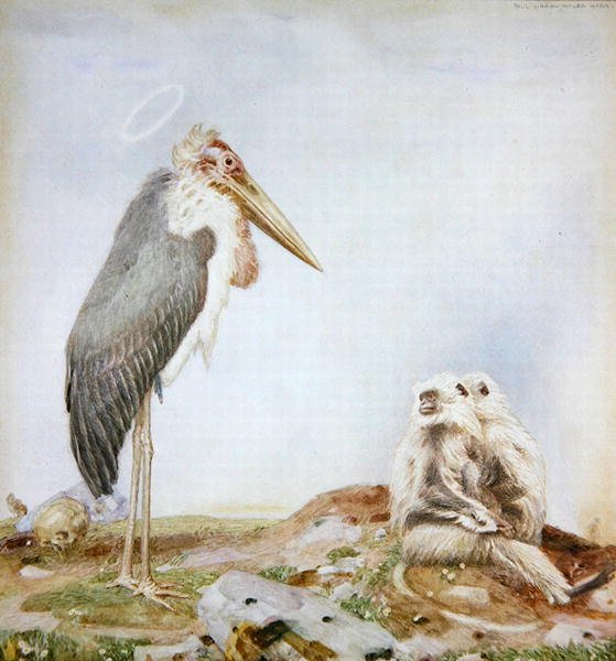 Kutsal Marabou (kağıt üzerine suluboya ve kurşun kalem) by Paul Grabwinkler