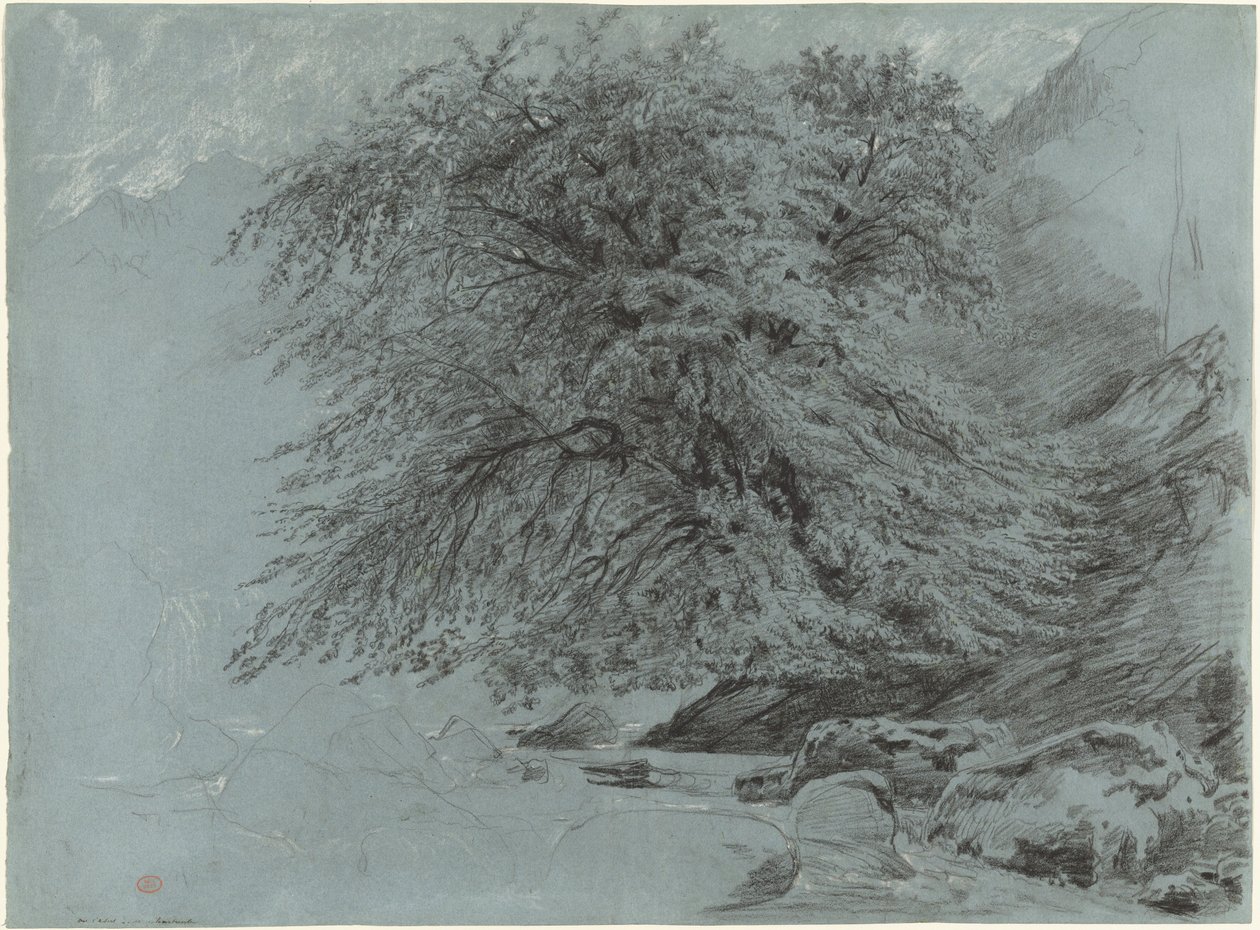 Tam Yapraklı Yabani Kayın by Paul Huet