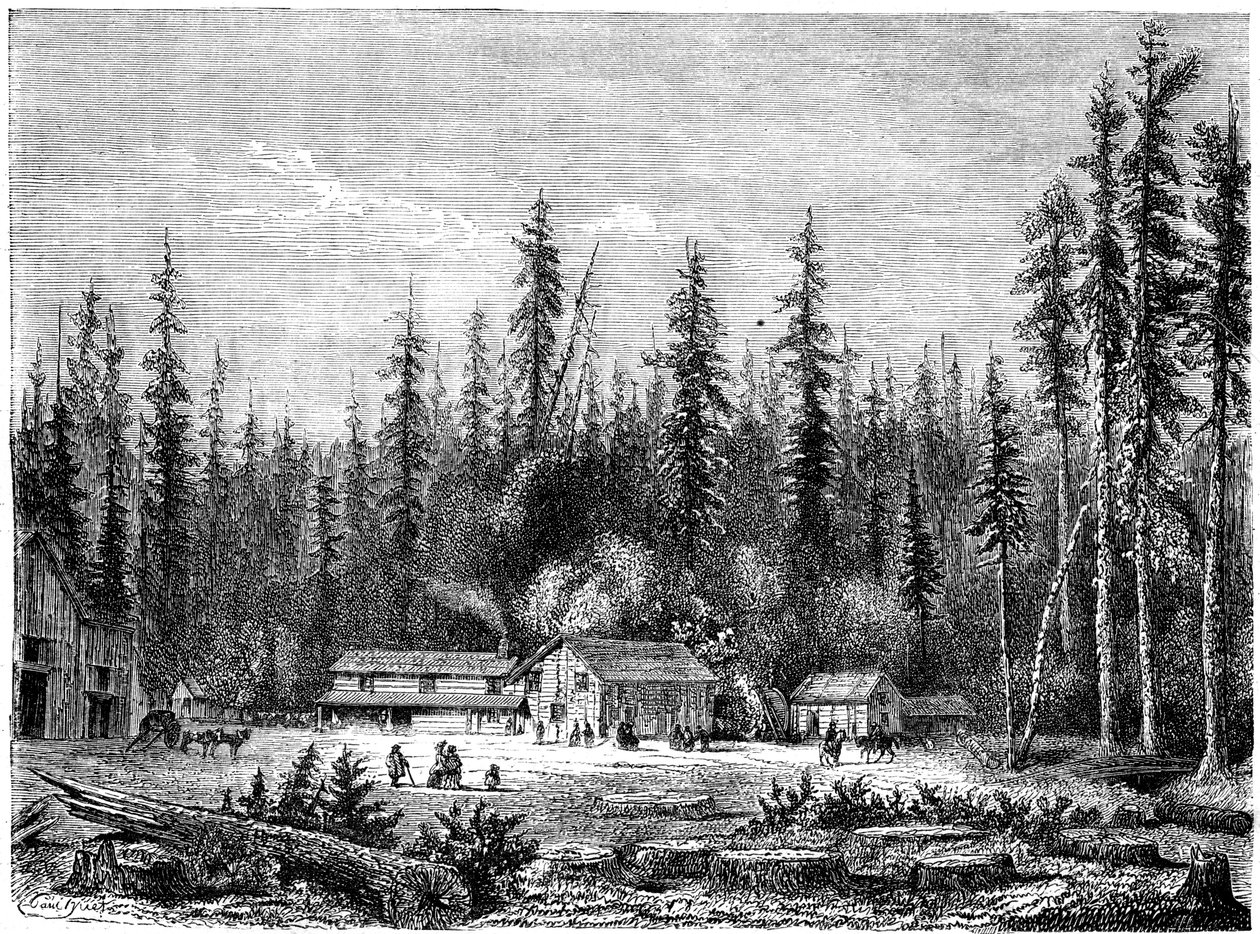 Dev sekoya ormanı, Kaliforniya, 19. yüzyıl. by Paul Huet