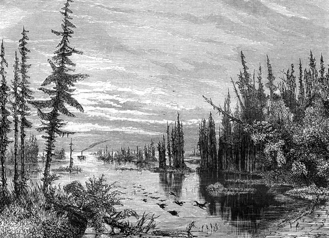 Bin Adalar bölgesi, Ontario, Kanada, 19. yüzyıl. by Paul Huet