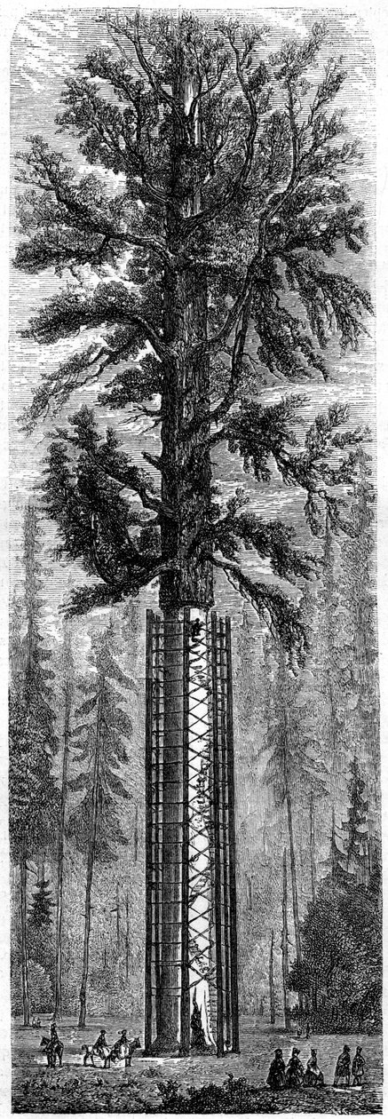 Yosemite Ulusal Parkı, Kaliforniya, 19. yüzyıl. by Paul Huet