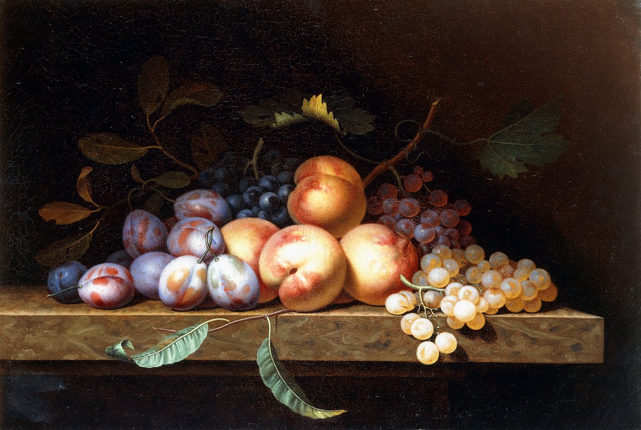 Bir Taş Çıkıntıda Şeftali, Erik ve Üzüm, by Paul Liegeois