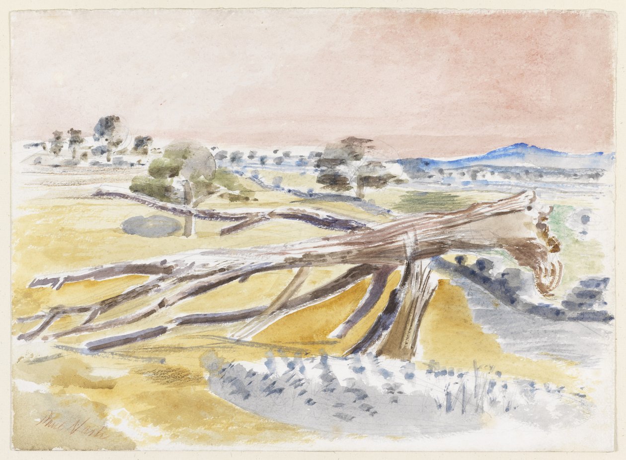 Canavar Alanı, Çalışma II by Paul Nash