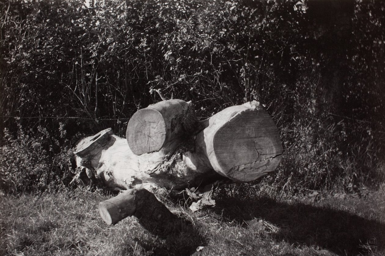  by Paul Nash