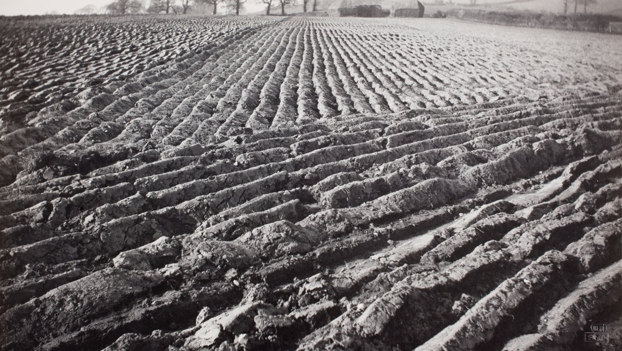  by Paul Nash