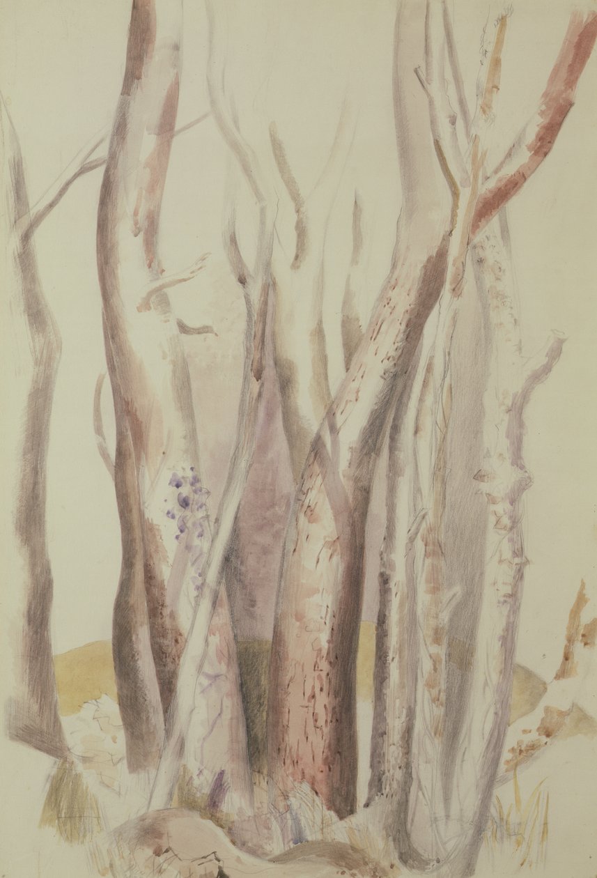 Ormanlık Peyzaj Çalışması by Paul Nash