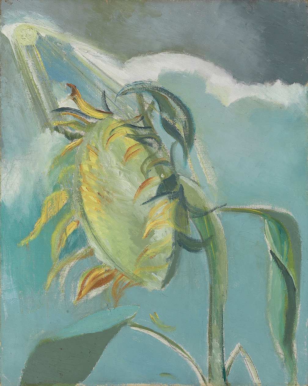 Ayçiçeği ve Güneş, c. 1945 (tuval üzerine yağlı boya) by Paul Nash