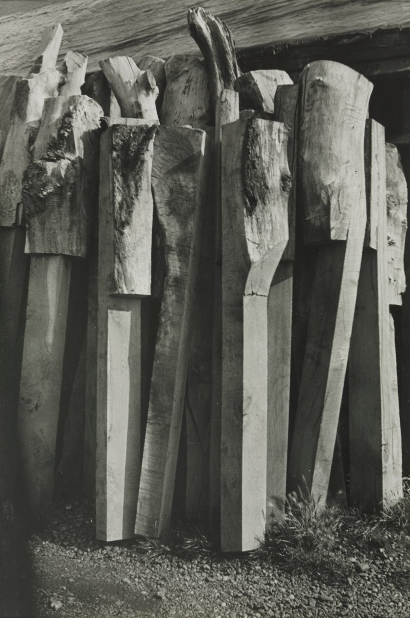 Totemler, Eski Tersane, Çavdar by Paul Nash