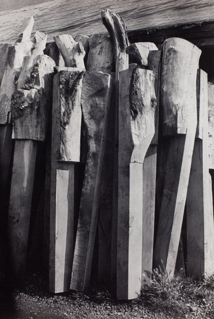  by Paul Nash