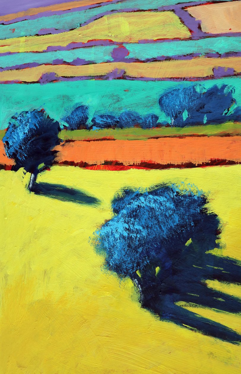 Cotswold Way yakın çekim 1 (gemide akrilik) by Paul Powis