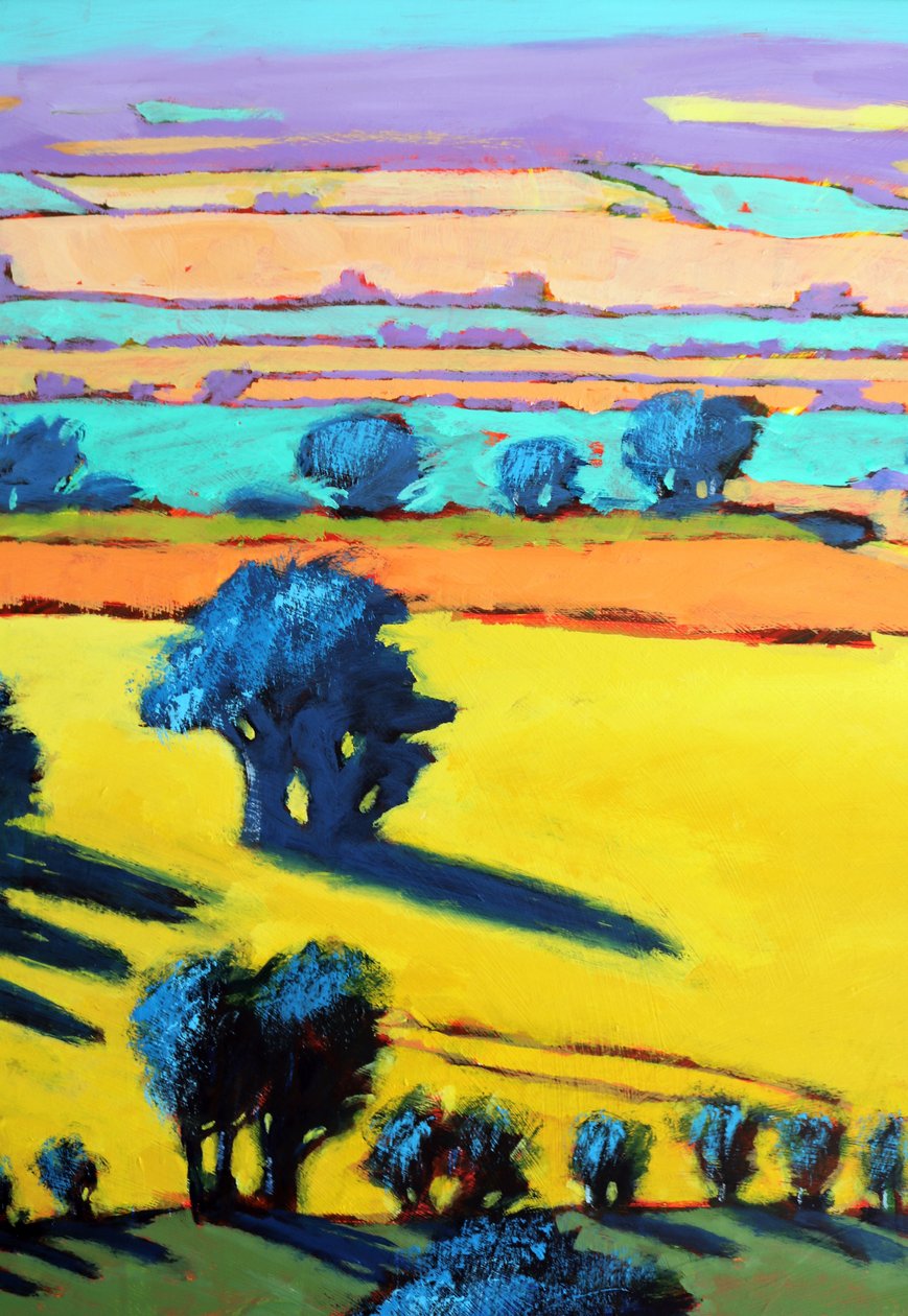 Cotswold Way yakın çekim 6 (gemide akrilik) by Paul Powis