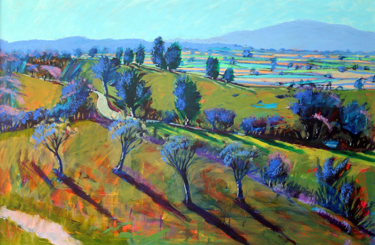 Crickley Hill Pınarı by Paul Powis
