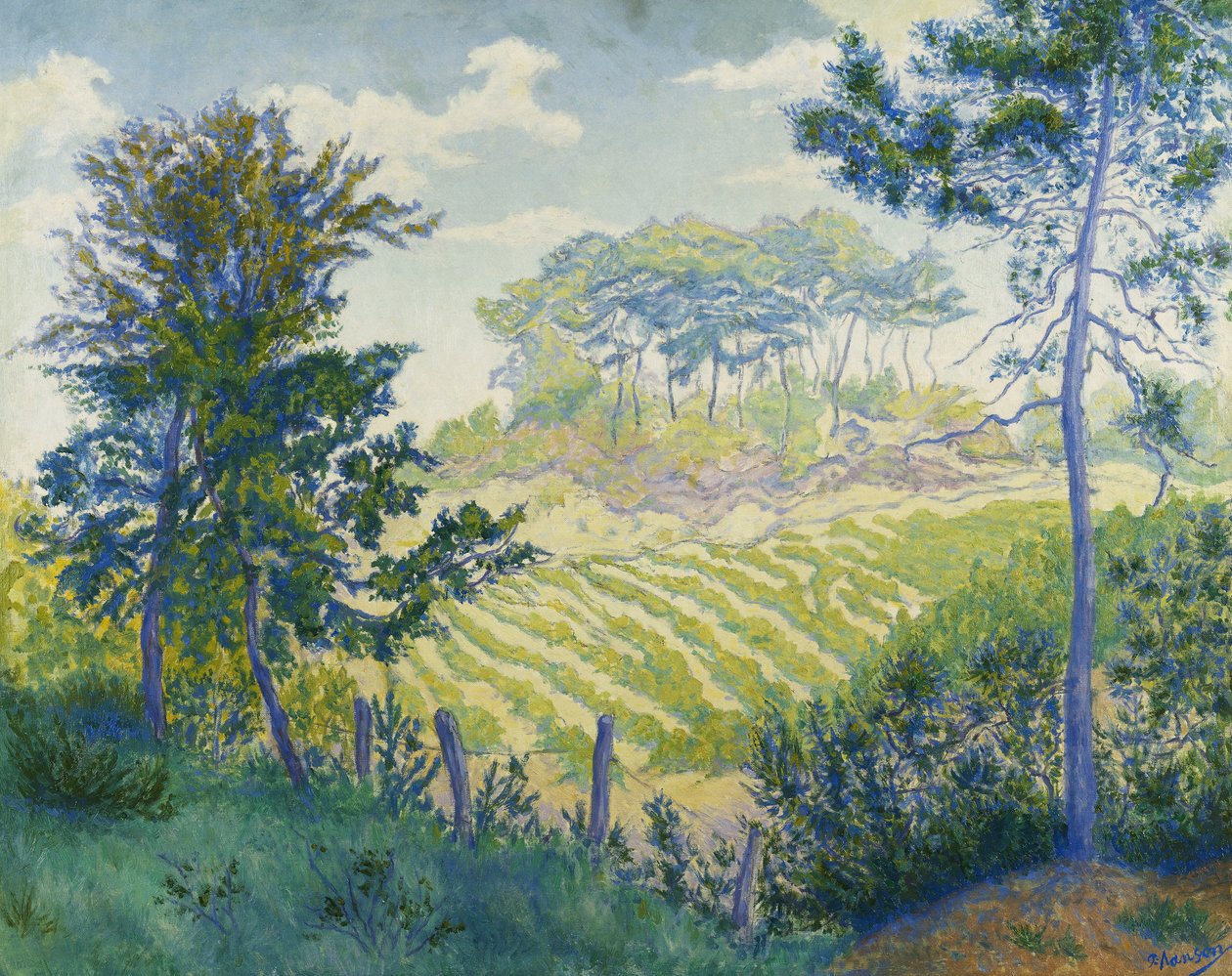 Çamların Altındaki Bağlar; Çamların Altındaki Bağlar, c. 1898 by Paul Elie Ranson