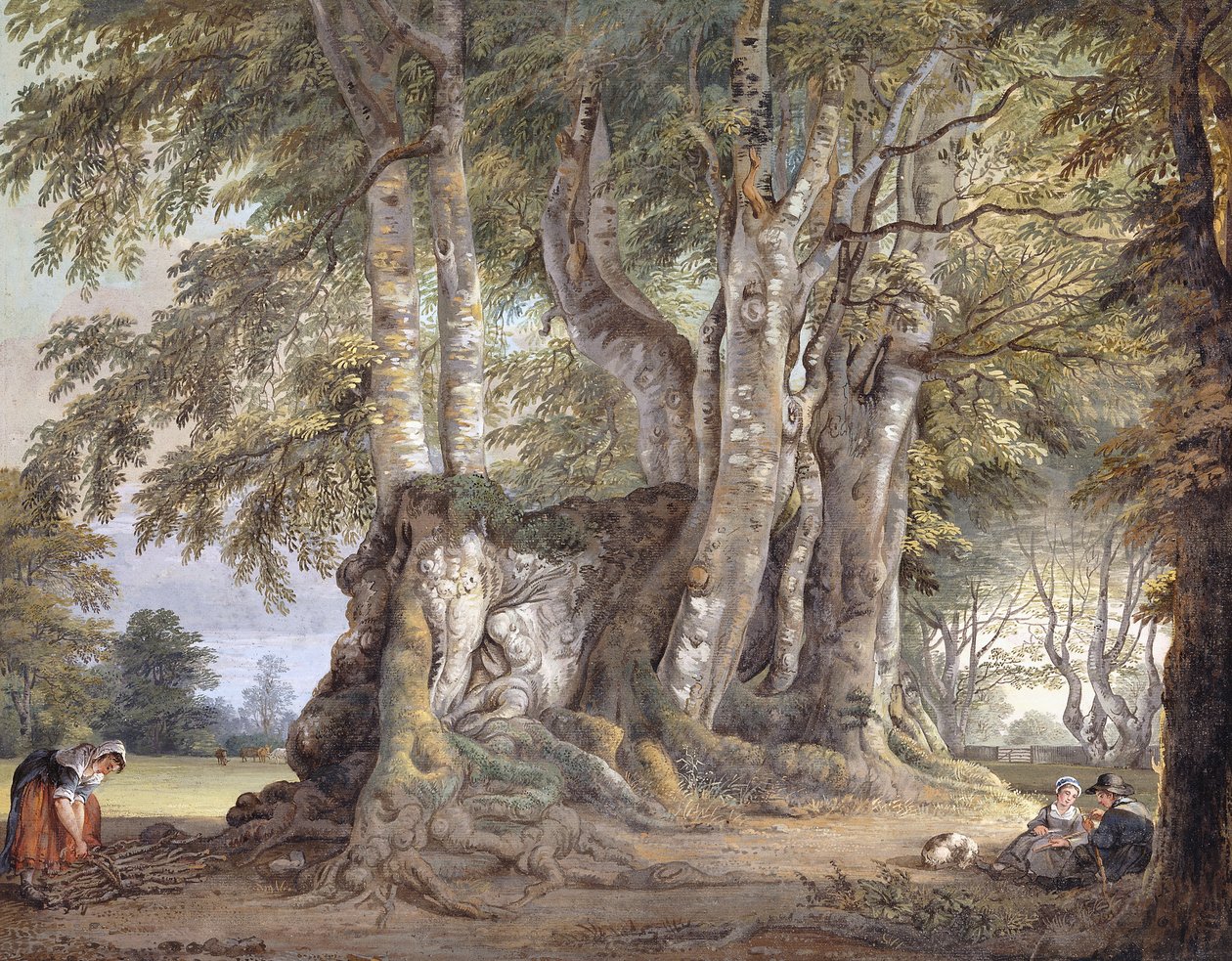Eski Bir Budaklı Kayın Ağacının Başına Oturmuş Dallar ve Figürler Toplayan Bir Köylü Kızı, by Paul Sandby