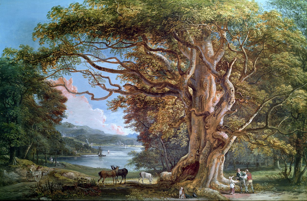 Kadim Kayın Ağacı, 1794 by Paul Sandby