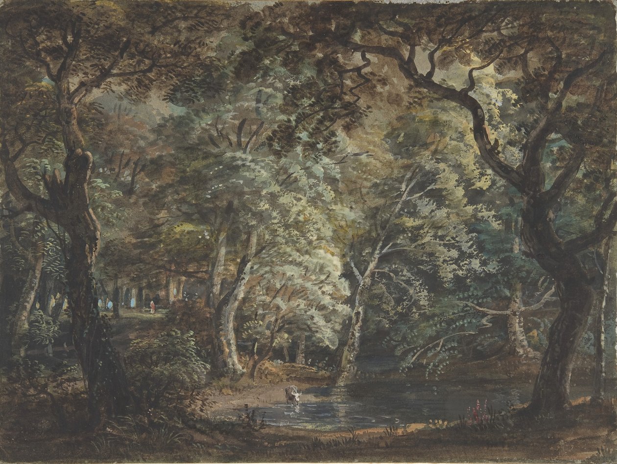 Windsor Büyük Parkı, 1790-99. by Paul Sandby