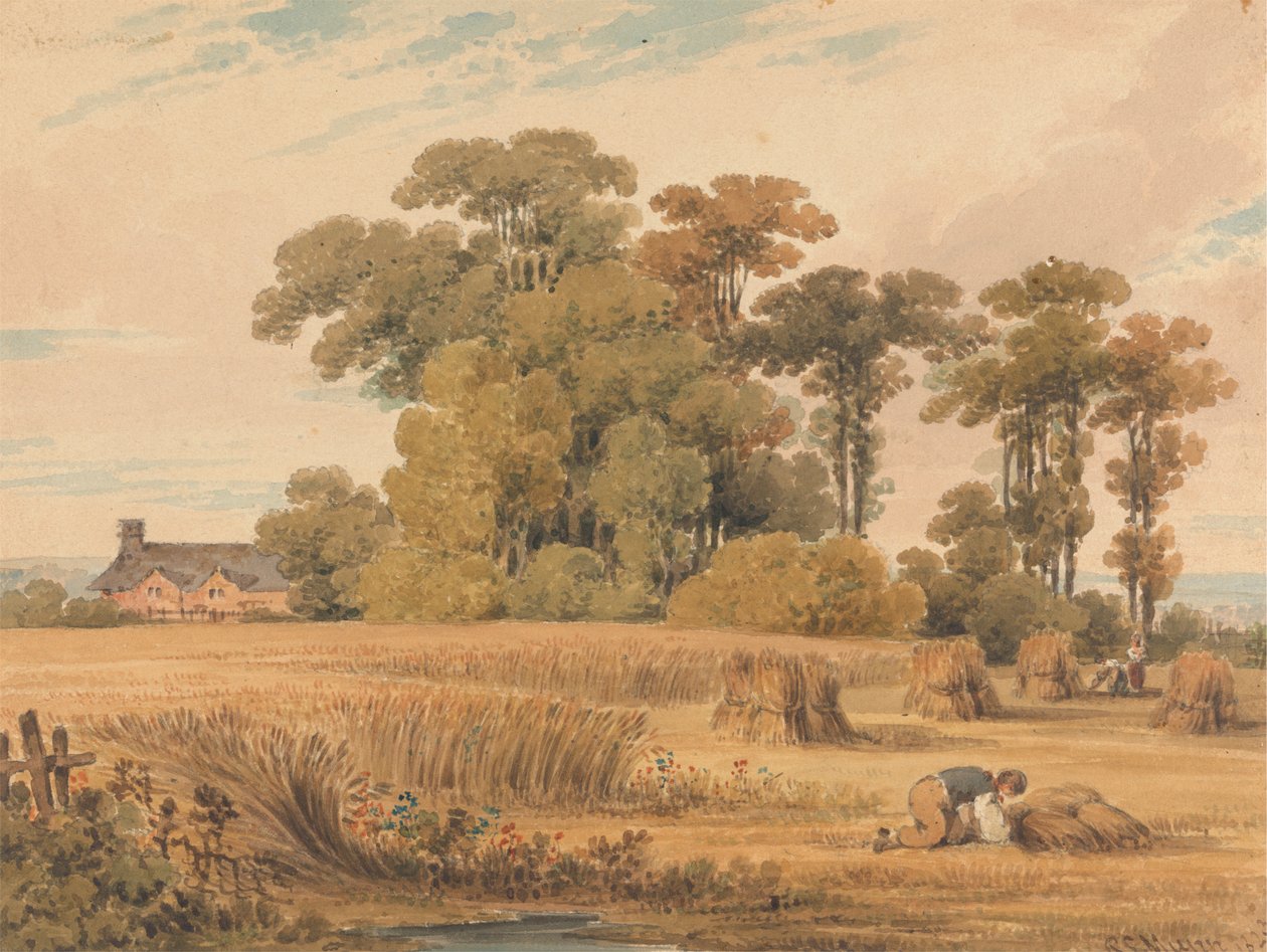 Bir Mısır Tarlası by Paul Sandby Munn