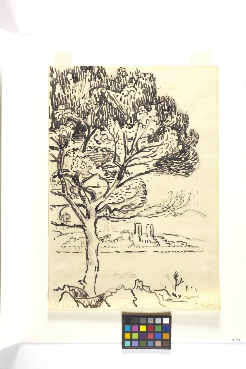 Antibes, Ön Planda Şemsiye Çamı (Antibes, Pin Pignon Au Premier Plan) (ten rengi dokuma kağıt üzerine siyah kalemle siyah mürekkeple çizim) by Paul Signac
