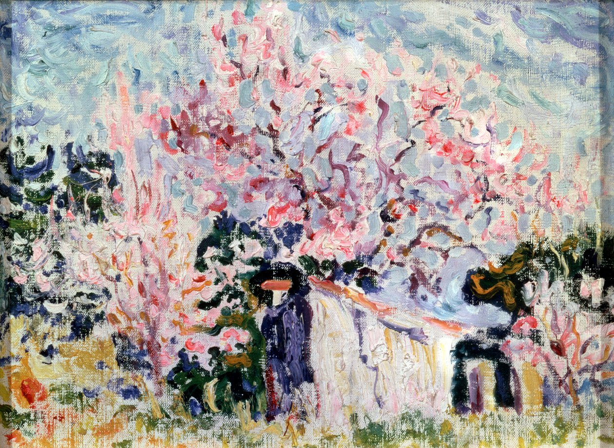 Provence