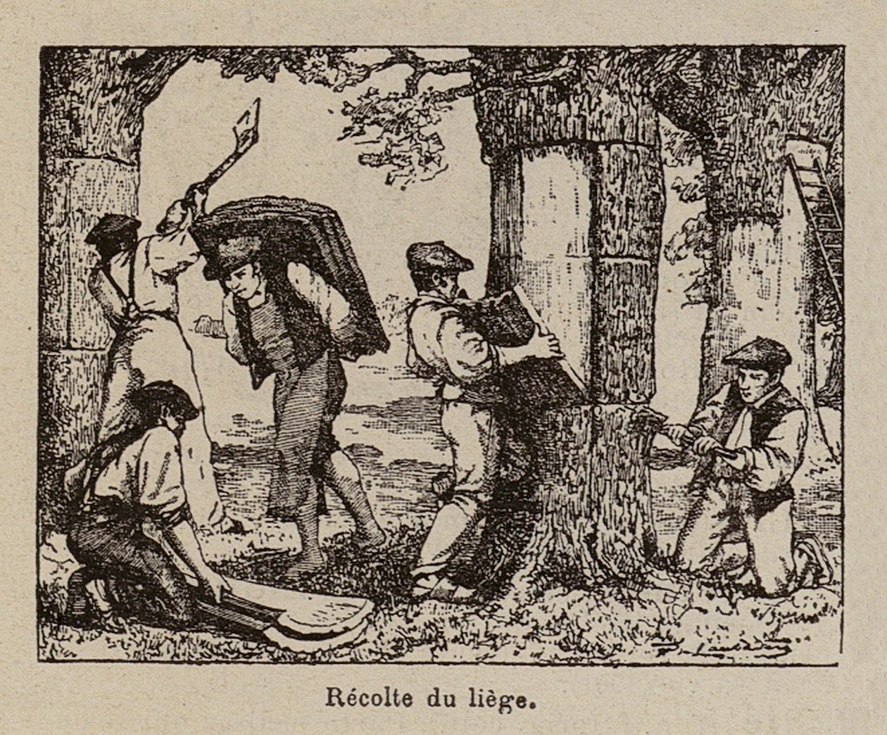  by Paul de Laubadere