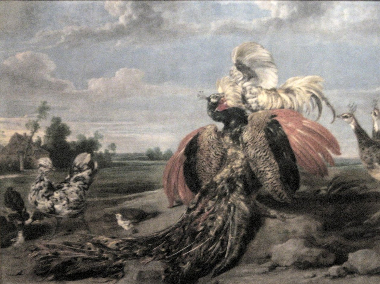  by Paul De Vos