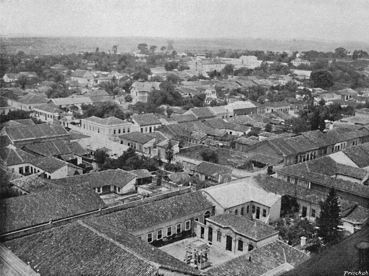 Kampinas, 1895 by Paulo Kowalsky