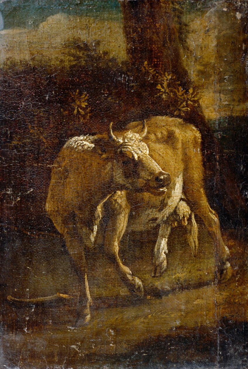 Bir inek by Paulus Potter