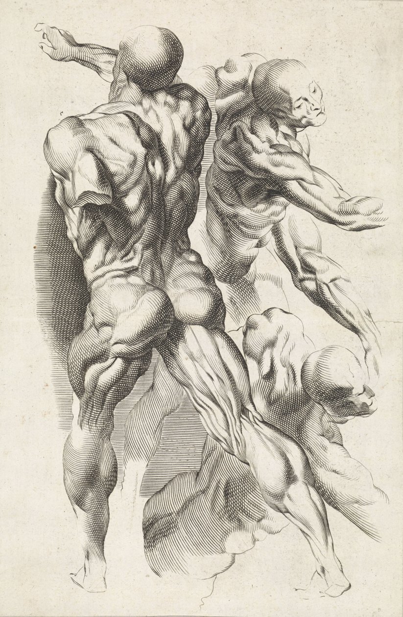Uzanmış kolları olan üç figürün anatomik çalışması Peter Paul Rubens'in çizim kitabı (seri başlığı) by Paulus Pontius