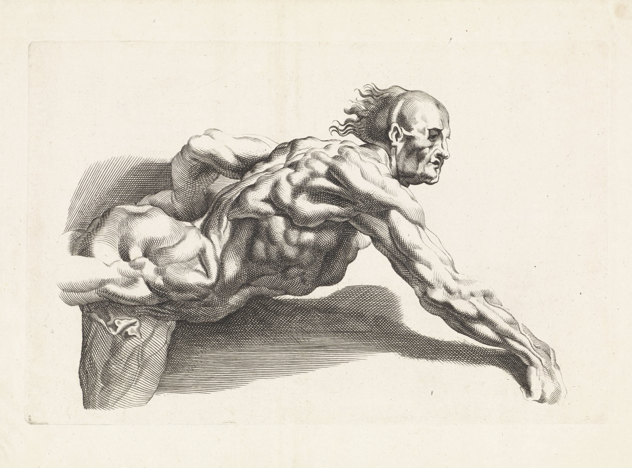 Eğik Adamın Anatomik Çalışması Peter Paul Rubens