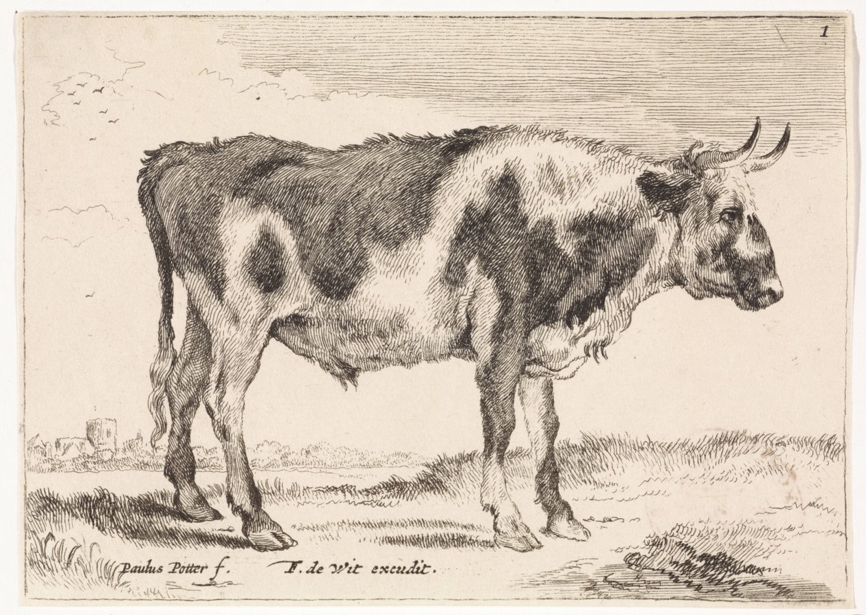 benekli öküz Öküz ve İnekler (dizi adı) by Paulus Potter (rejected attribution)