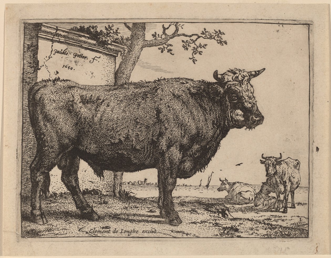 Boğa by Paulus Potter