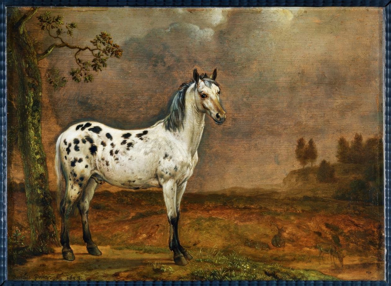 benekli at by Paulus Potter