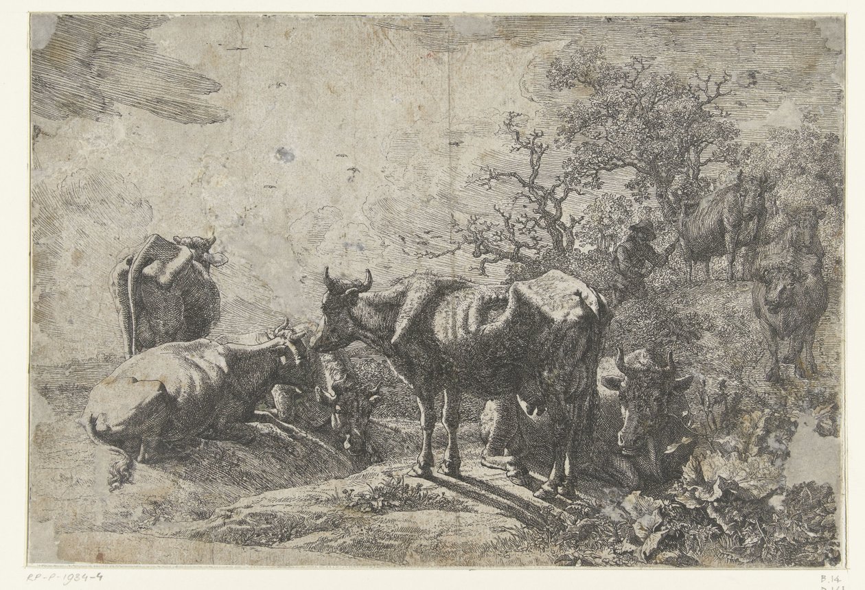 çoban by Paulus Potter