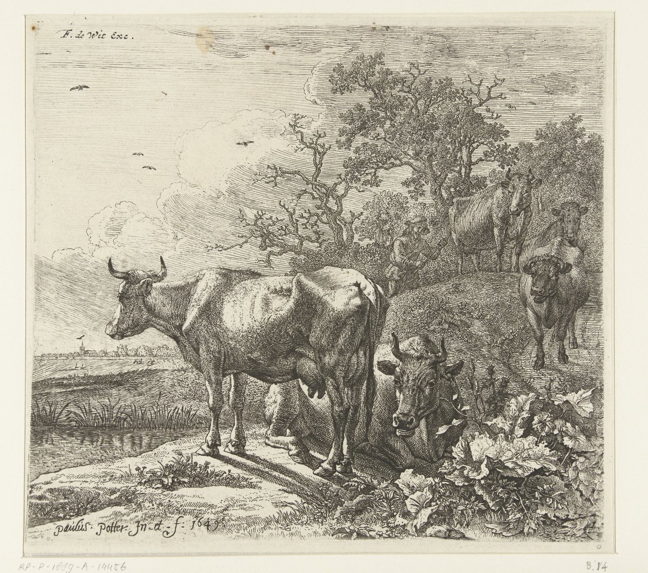 çoban by Paulus Potter